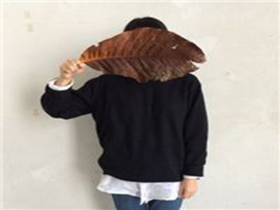 夜里十大禁用软件,深夜手机使用，小心这十大软件泄露隐私