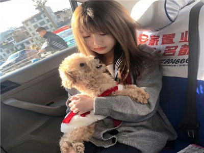 成品短视频网站源码搭建,短视频网站搭建攻略，轻松入门！-3