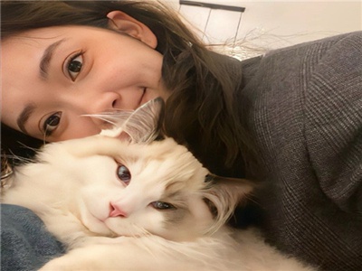 最近字幕高清视频2019年,科技助力，字幕高清视频2019年大放异彩-3