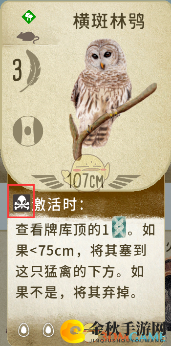 《展翅翱翔》猛禽图标内容介绍
