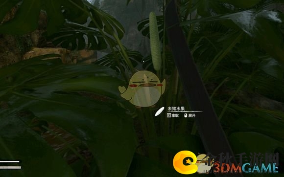 《绿色地狱》揭秘：苦瓜养生功效详析