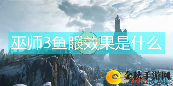 巫师3鱼眼效果是什么