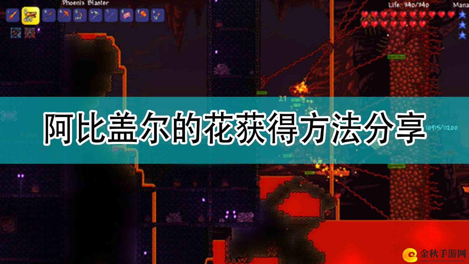 《泰拉瑞亚》阿比盖尔的花获得方法分享