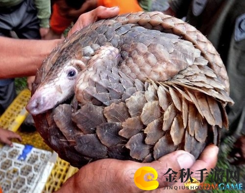 中国创新防弹衣技术突破，自我修复性能胜美制产品