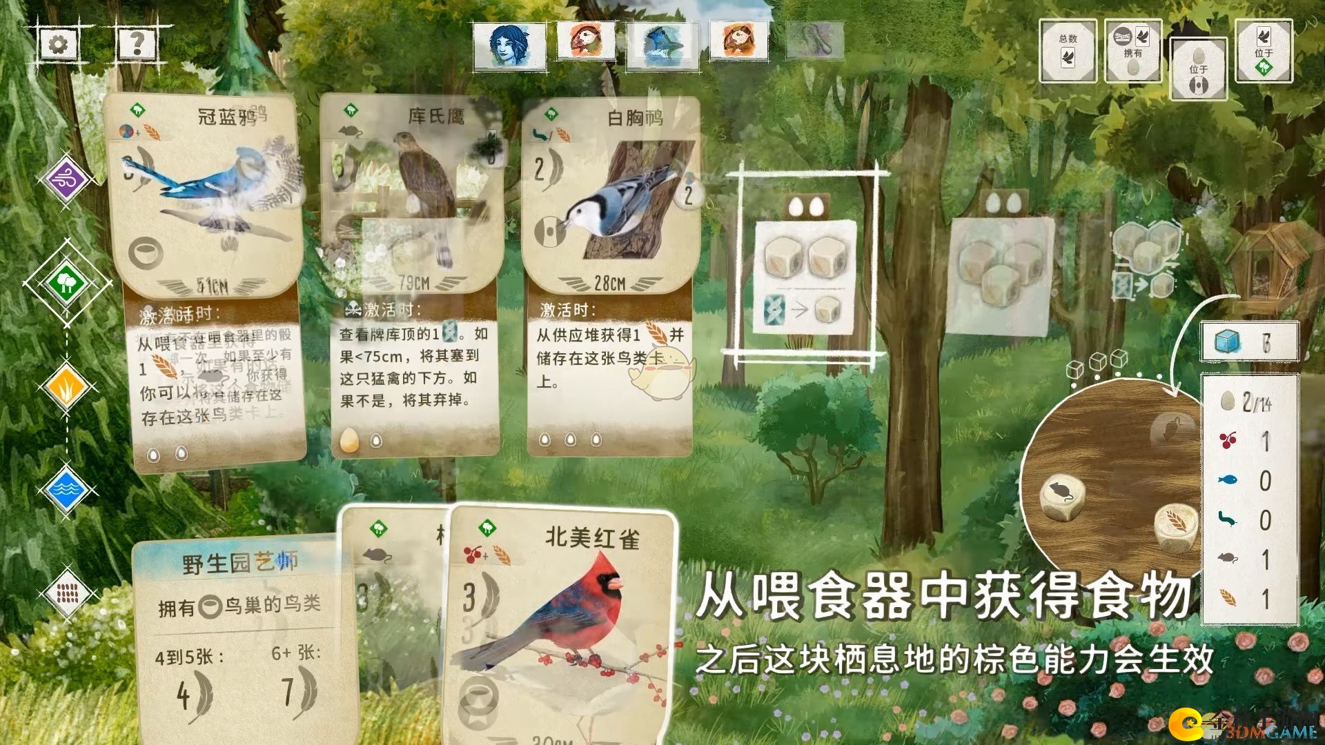 《展翅翱翔》卡牌大全详览解析