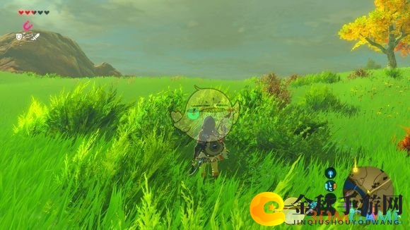 《塞尔达传说：旷野之息》背后操作小窍门