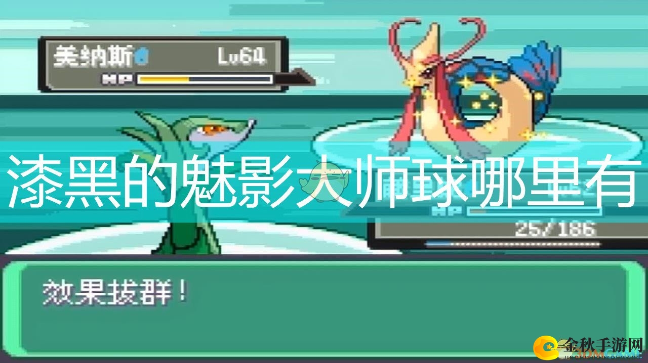 探寻神秘大师球，漆黑魅影藏何处