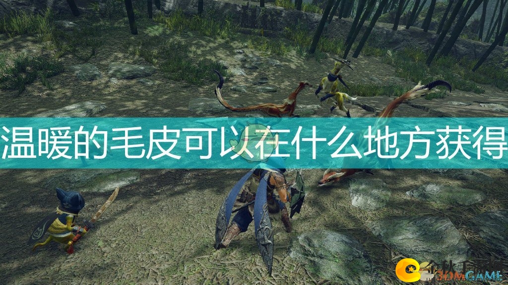 《怪物猎人：崛起》毛皮收集攻略，温暖材料获取点分享