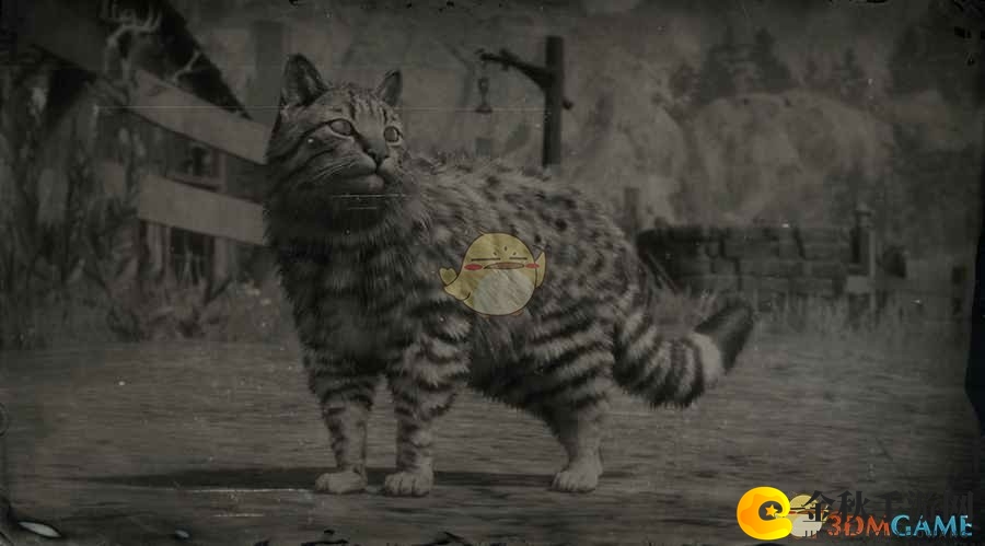 《荒野大镖客2》猫咪品种详览，北美风情尽收眼底