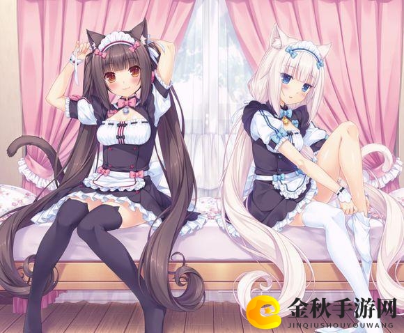 《巧克力香子兰游戏》运行环境一览