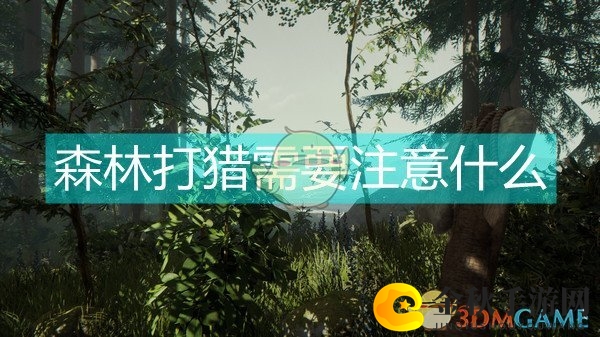 《森林》打猎注意事项