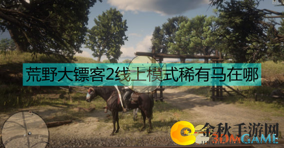 《荒野大镖客2》寻宝指南：揭秘线上稀有坐骑藏匿之地
