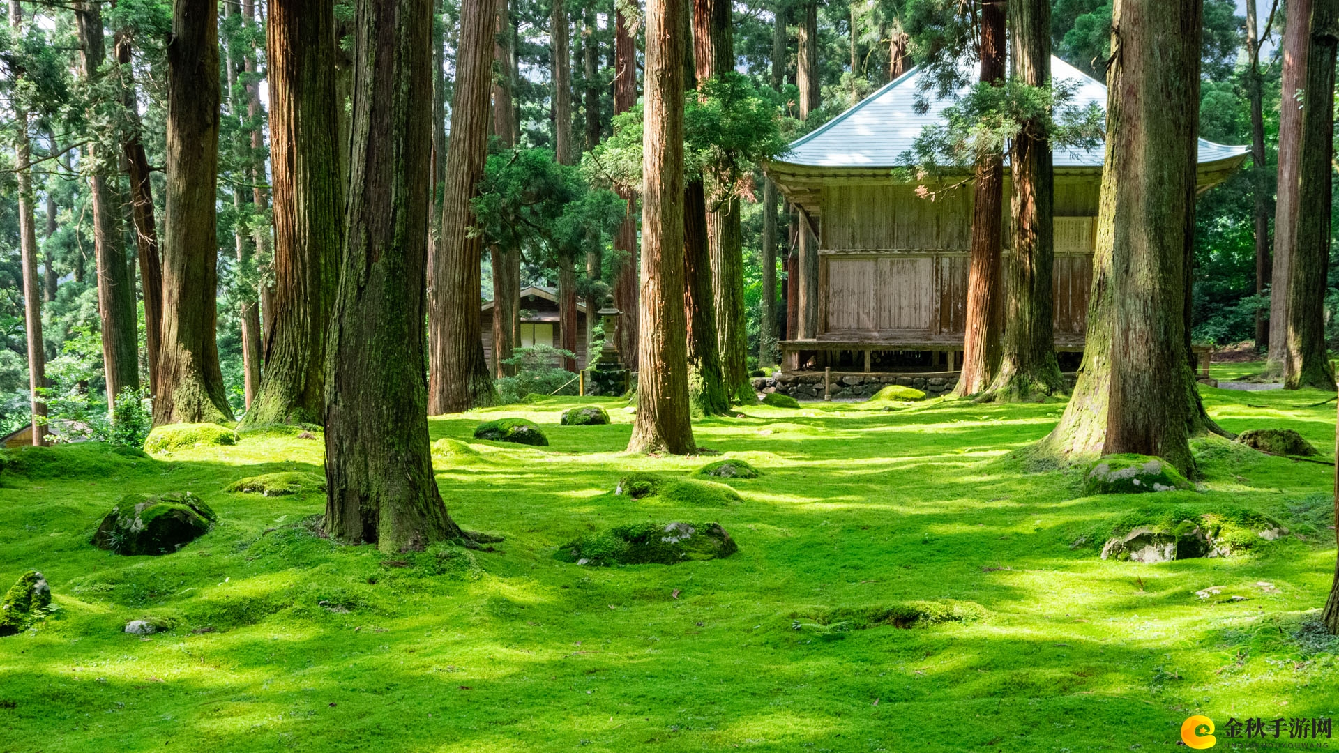 《风雨来记4》公布DLC内容 增加岐阜县周边地区