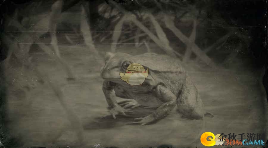 《荒野大镖客2》详尽牛蛙种类解析展示