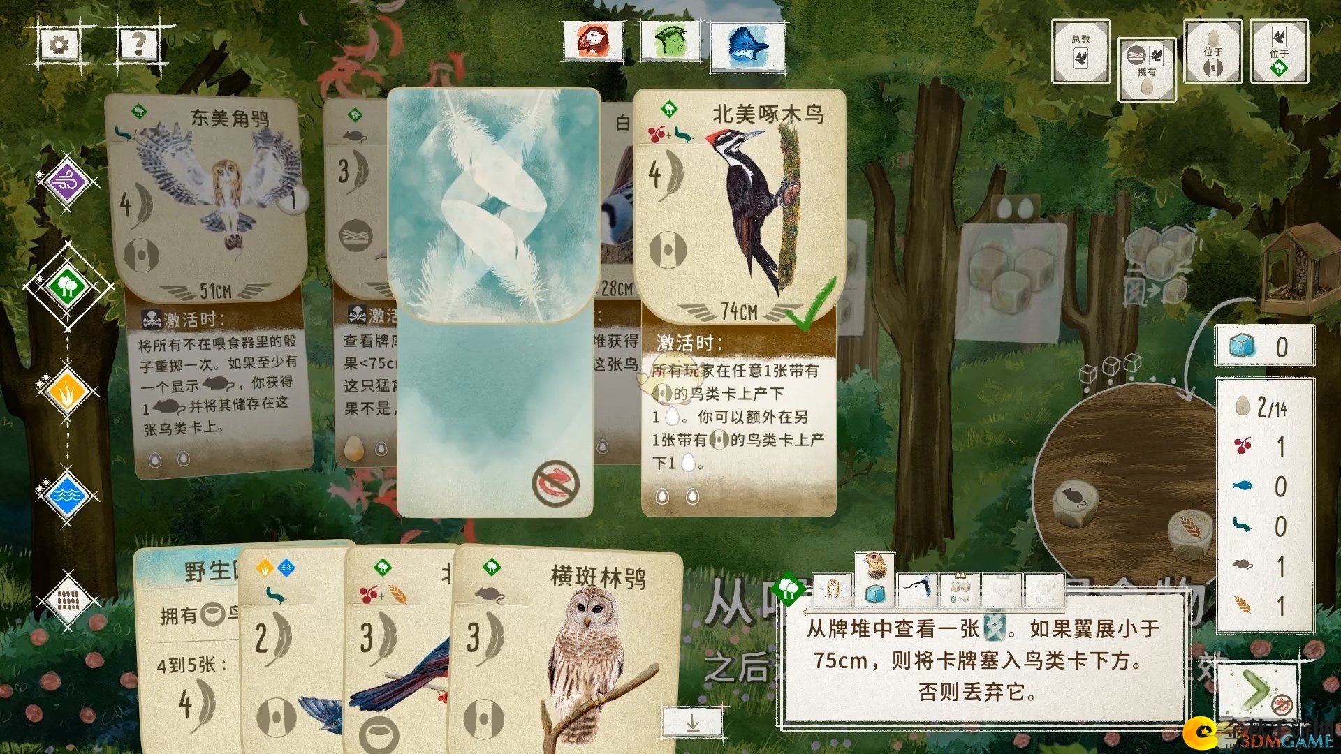 《展翅翱翔》回合与轮次内容介绍